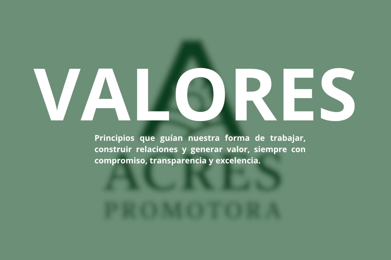 Proyecto inmobiliario